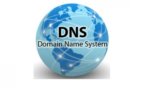路由器dns怎么设置（路由器动态DNS设置方法）